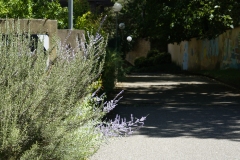 Chemin vu du haut